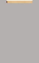 Орион (Фьюжн)